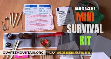 Essential Items to Include in Your Mini Survival Kit