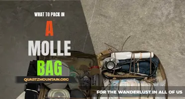 The Essential Items to Pack in a MOLLE Bag for Every Adventure