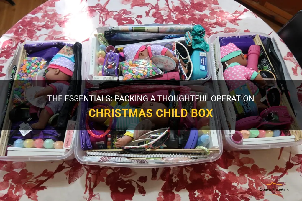 what to pack in a operation christmas child box
