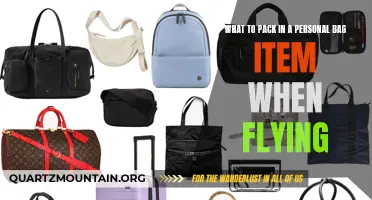 Essential Items to Pack in Your Personal Bag for Air Travel