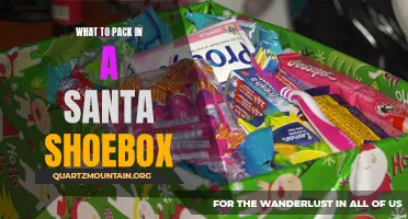 Essential Items to Include in a Santa Shoebox: Creating Holiday Magic