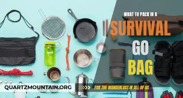 Essential Items to Include in Your Survival Go Bag