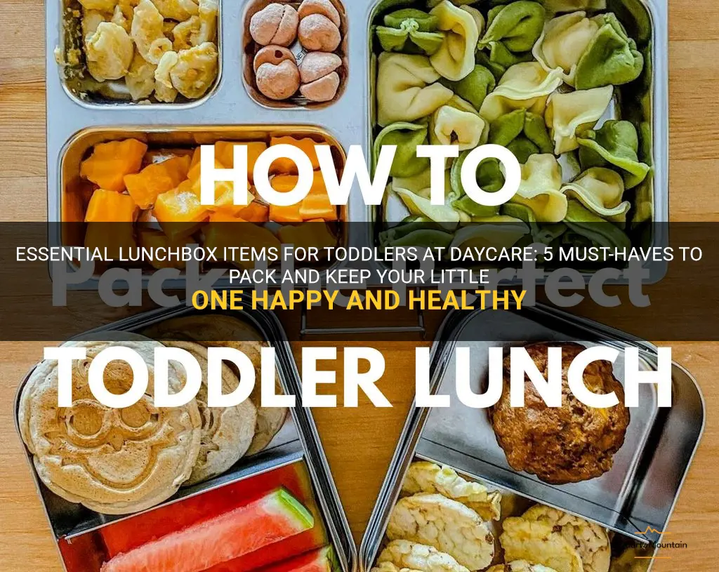 what to pack in a toddler lunch for daycare