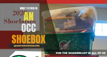 The Essential Items to Pack in an OCC Shoebox for a Child in Need
