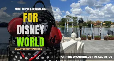 Essential Items to Pack in Your Backpack for a Memorable Visit to Disney World