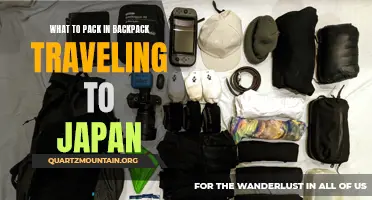 Essential Items to Pack in Your Backpack When Traveling to Japan