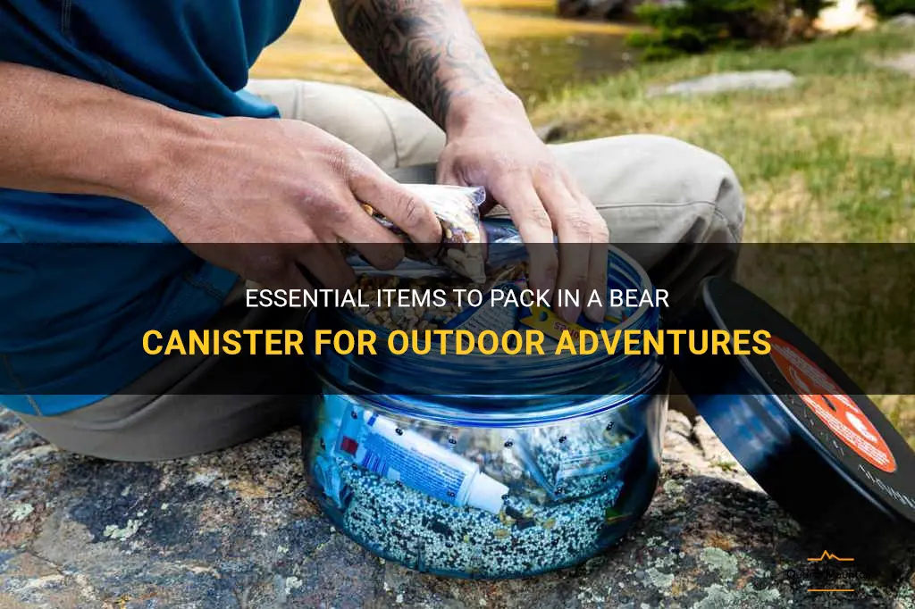 what to pack in bear canister
