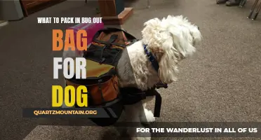 Essential Items to Include in Your Bug Out Bag for Your Furry Friend