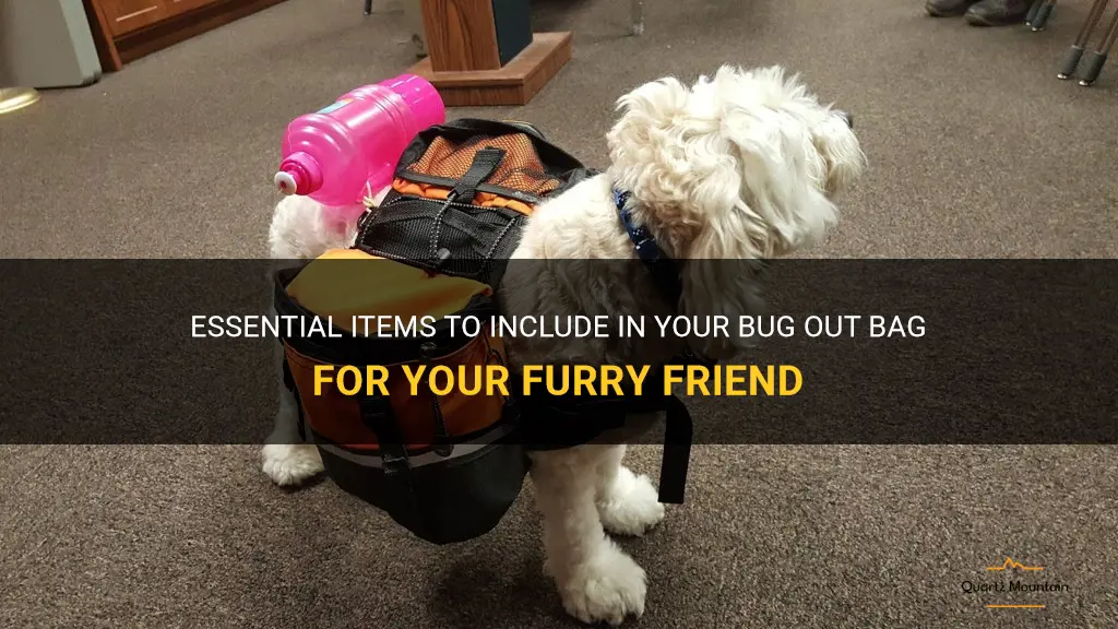 what to pack in bug out bag for dog