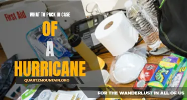 Essential Items to Pack for Hurricane Preparedness