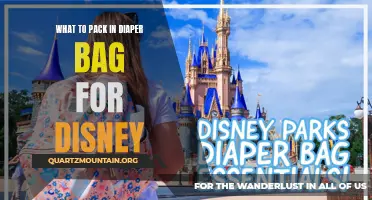 Essential Items to Pack in Your Diaper Bag for a Magical Disney Adventure