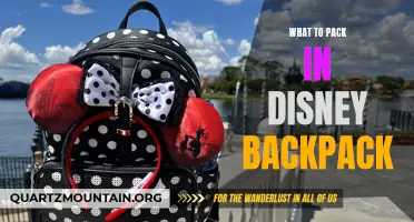 The Essential Items to Pack in Your Disney Backpack