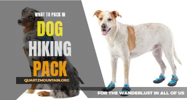 Essential Items to Pack in Your Dog's Hiking Pack for a Fun Outdoor Adventure