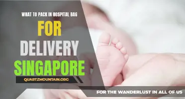Essential Items for Your Hospital Bag: A Complete Guide for Delivery in Singapore