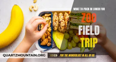 Delicious and Nutritious: Packing the Perfect Lunch for a Zoo Field Trip
