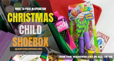 The Ultimate Guide on What to Pack in an Operation Christmas Child Shoebox