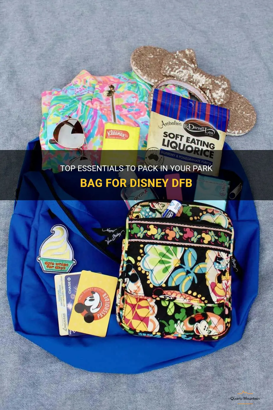 what to pack in park bag for disney dfb