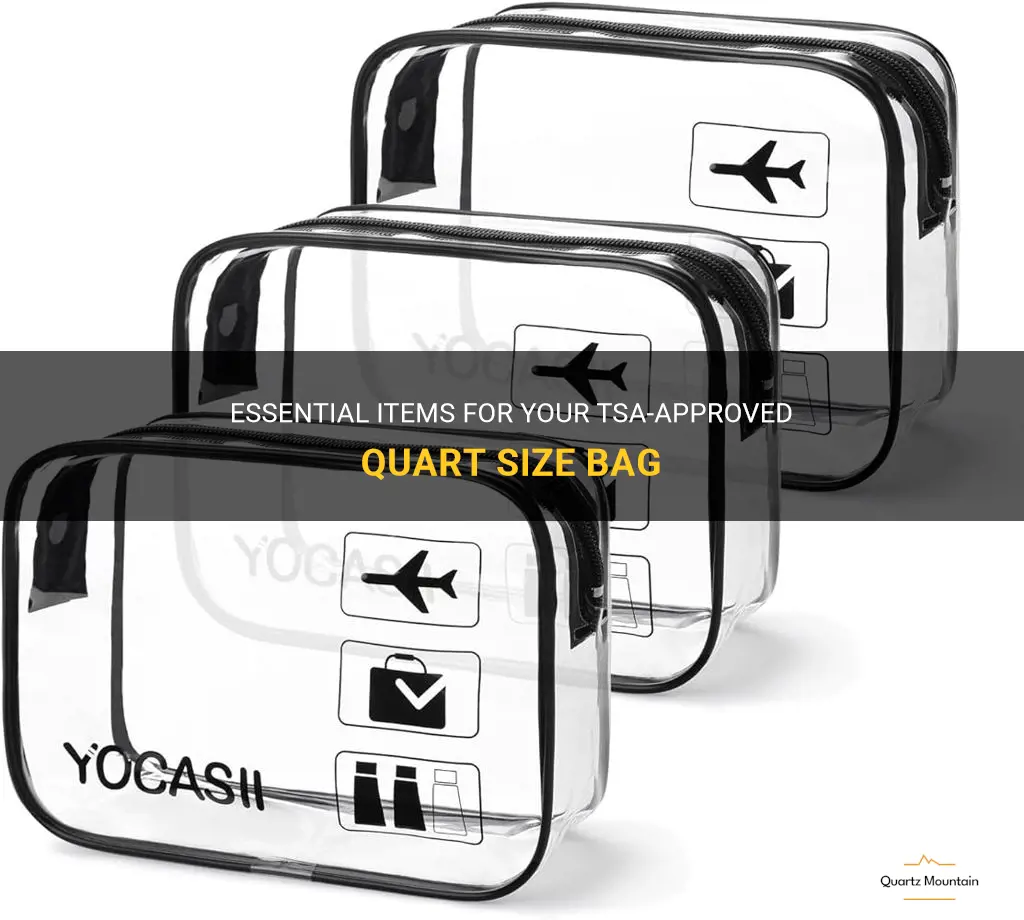 what to pack in quart size bag for tsa