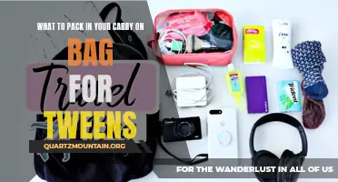 Essential Items to Pack in Your Carry-On Bag for Tweens