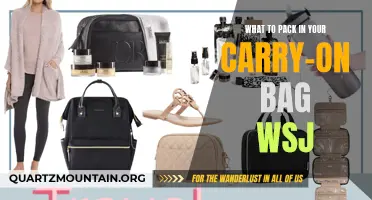 Essential Items to Pack in Your Carry-On Bag, According to WSJ