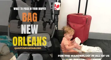 Essential Items for Your Diaper Bag in New Orleans: A Comprehensive Guide