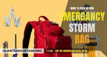 Be Prepared: Essential Items to Pack in Your Emergency Storm Bag