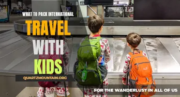 Essential Items for Traveling Internationally with Kids