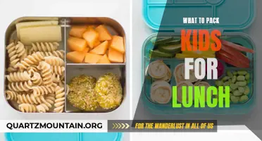 How to Pack a Nutritious and Delicious Lunch for Your Kids