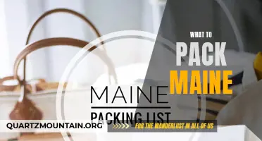 Essential Items to Pack for a Memorable Trip to Maine