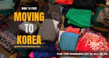 Essential Items to Pack When Moving to Korea