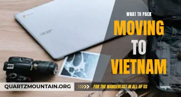 Moving to Vietnam: Essential Items to Pack