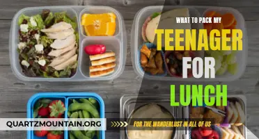 Ensuring a Nutritious Lunch: Essential Items to Pack for Your Teenager
