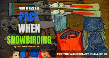 Essential Items for Snowbirding: What to Pack and What to Leave Behind