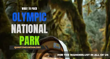 Essential Items to Pack for Your Olympic National Park Adventure