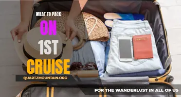 Essential Items to Pack for Your First Cruise Vacation