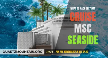 Essential Items to Pack for an Unforgettable 7-Day Cruise on MSC Seaside