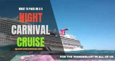 The Essential Items to Pack for an Unforgettable 5-Night Carnival Cruise