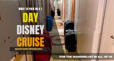 Essential Items to Pack for a 7-Day Disney Cruise Vacation