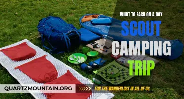 Essential Items to Pack for a Successful Boy Scout Camping Trip