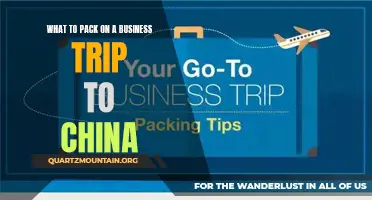 Essential Items to Pack for a Successful Business Trip to China
