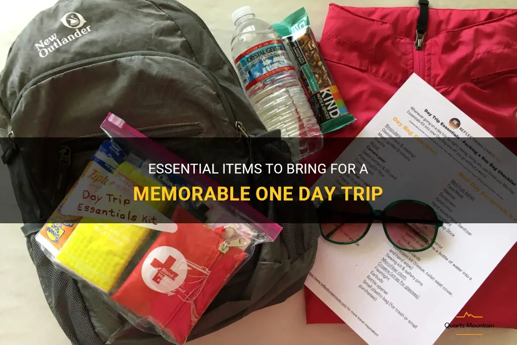 what to pack on a one day tip