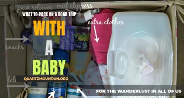 Essential Items to Pack on a Road Trip with a Baby