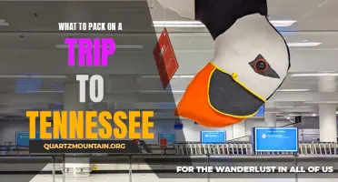 Essential Items to Pack for a Trip to Tennessee