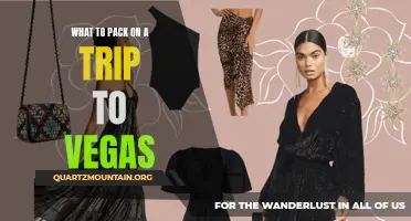 Essential Items to Pack for your Adventurous Trip to Vegas