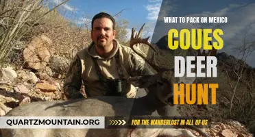 Essential Gear for a Successful Mexico Coues Deer Hunt