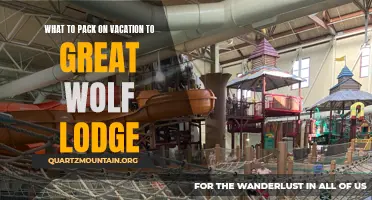Essential Items to Pack for a Fun-filled Vacation at Great Wolf Lodge