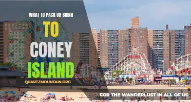 Essential Items to Pack for a Day at Coney Island