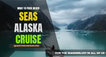 Essential Items to Pack for a Silver Seas Alaska Cruise