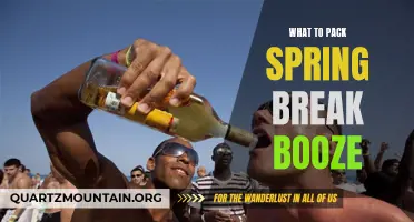 The Ultimate Guide to Packing Booze for Spring Break