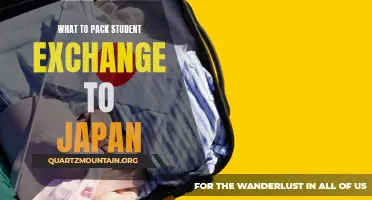 Essential Items to Pack for a Student Exchange in Japan